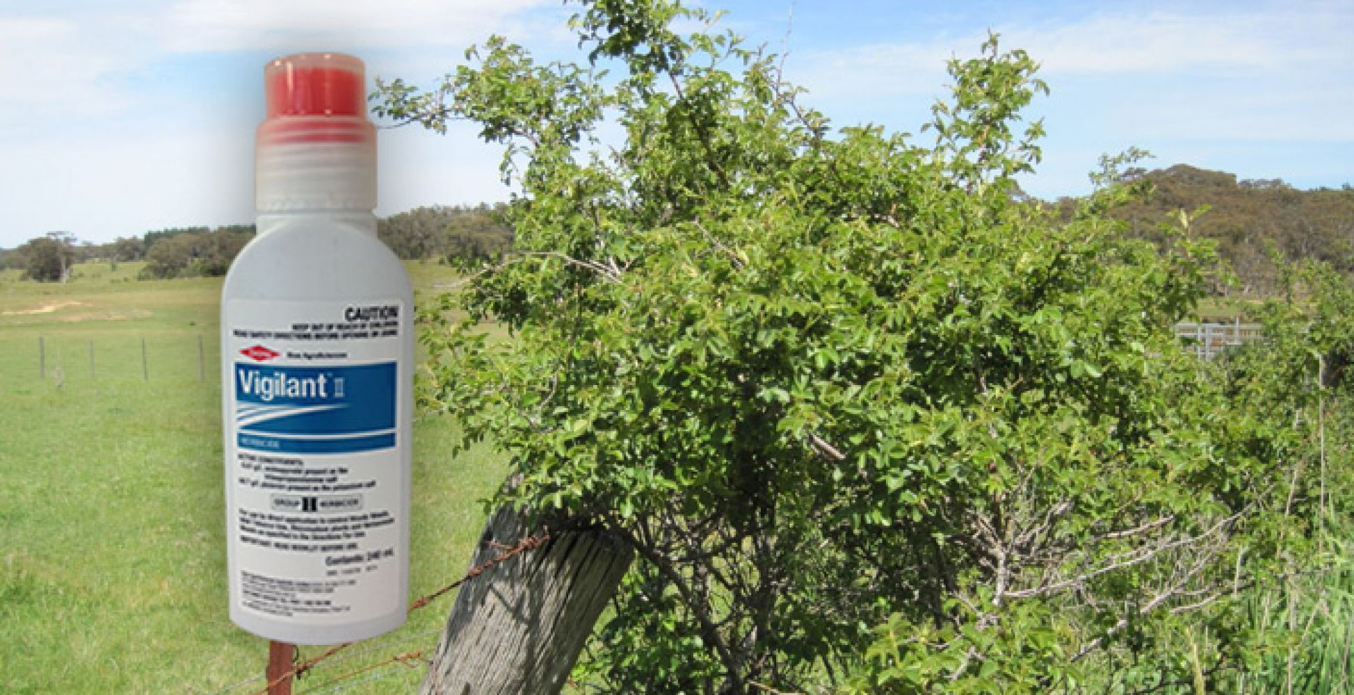 Vigilant II Herbicide Gel WeedForce
